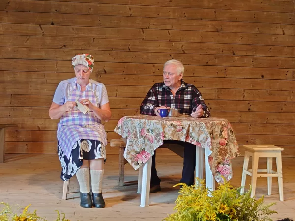 Vidintojų grupė "SUSIEDAM"